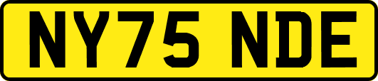 NY75NDE