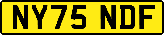 NY75NDF
