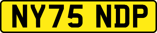 NY75NDP
