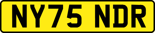 NY75NDR