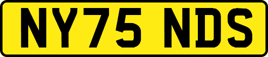 NY75NDS