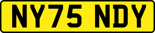 NY75NDY