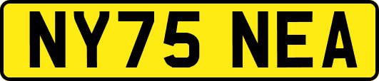 NY75NEA
