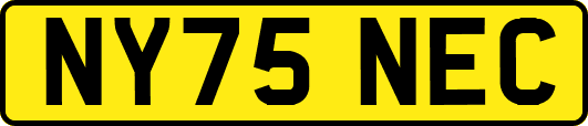 NY75NEC