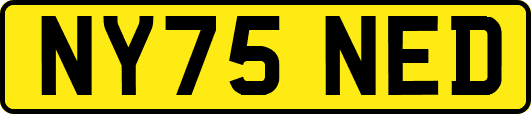 NY75NED