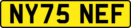 NY75NEF