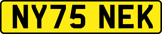 NY75NEK