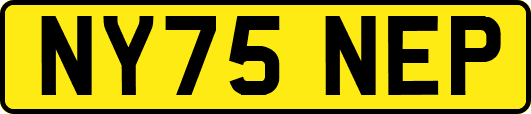 NY75NEP