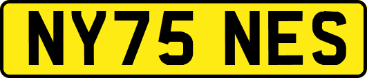 NY75NES