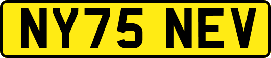 NY75NEV