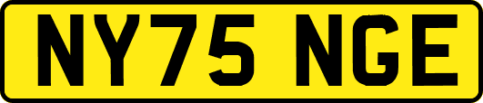 NY75NGE