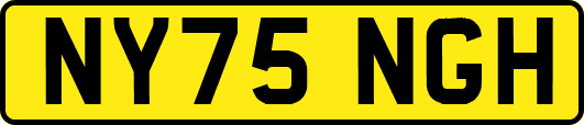 NY75NGH