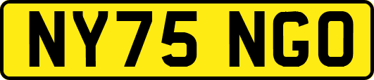 NY75NGO