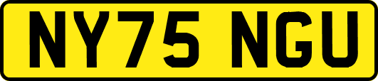 NY75NGU