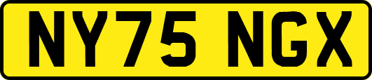 NY75NGX