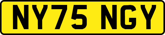 NY75NGY