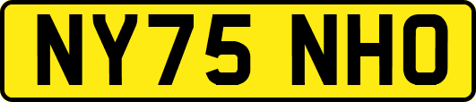 NY75NHO