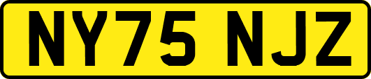 NY75NJZ