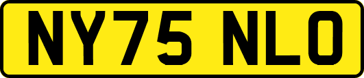 NY75NLO