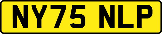 NY75NLP