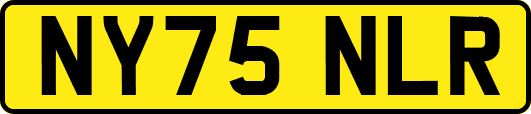 NY75NLR