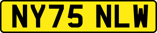 NY75NLW