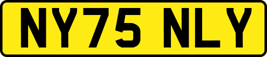 NY75NLY