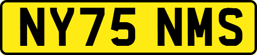 NY75NMS