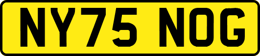 NY75NOG