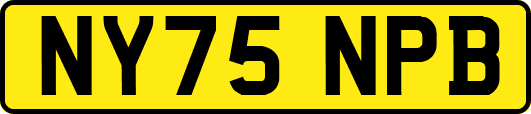 NY75NPB