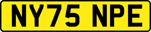 NY75NPE