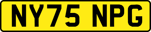NY75NPG