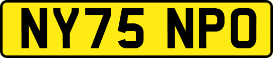 NY75NPO