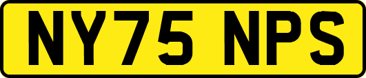 NY75NPS