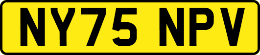 NY75NPV