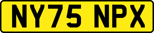 NY75NPX