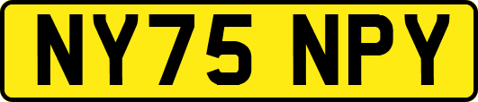 NY75NPY