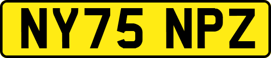 NY75NPZ
