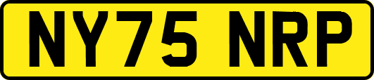 NY75NRP