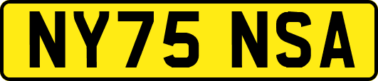 NY75NSA