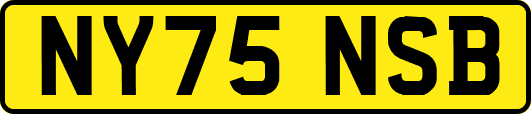 NY75NSB