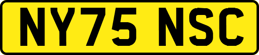 NY75NSC