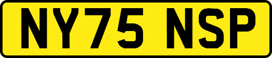 NY75NSP