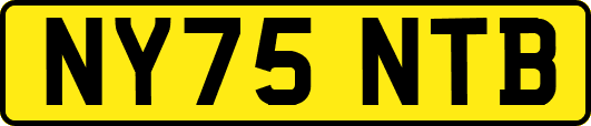 NY75NTB