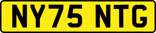 NY75NTG
