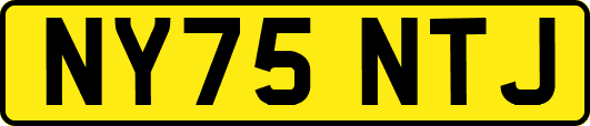NY75NTJ
