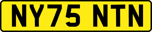 NY75NTN
