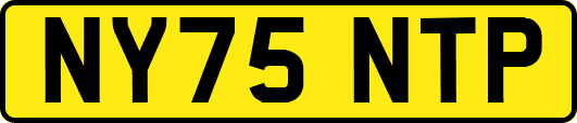 NY75NTP