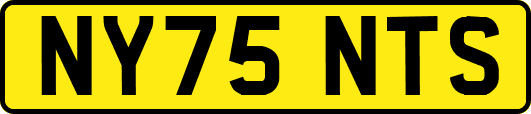 NY75NTS