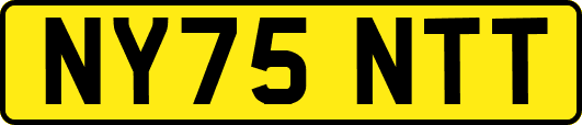 NY75NTT